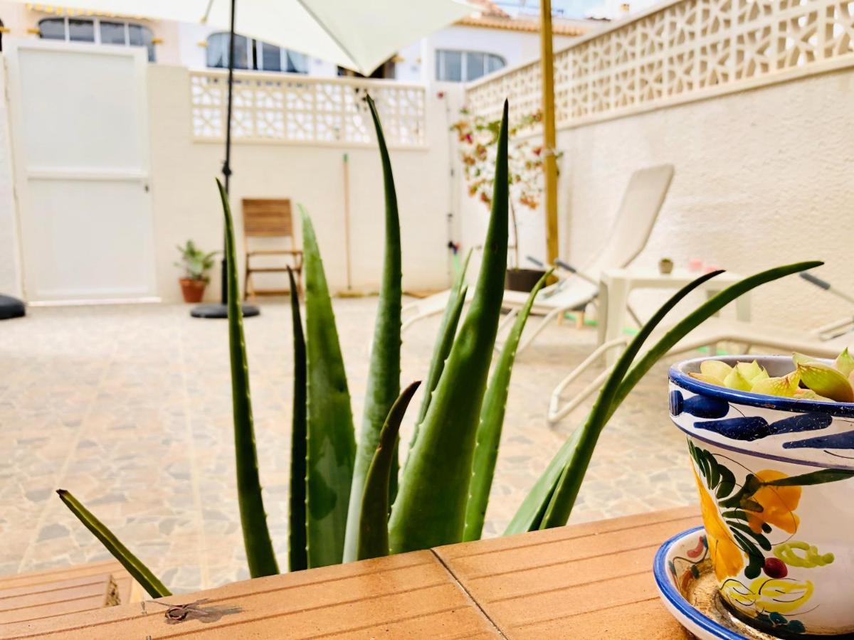 גראן אלקנט Mediterranean House מראה חיצוני תמונה